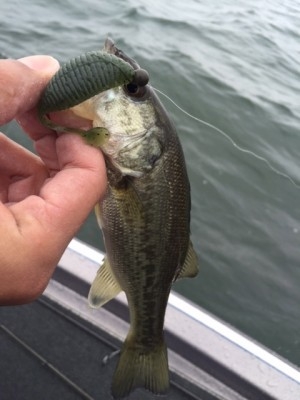 hideup 横山直人 ブログ写真 2015/04/05