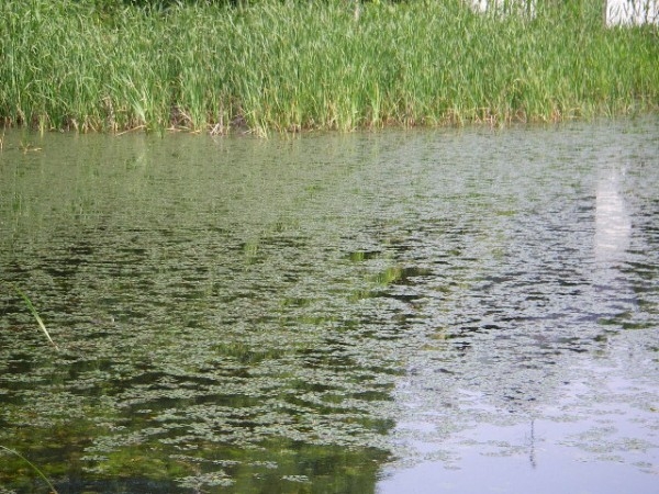 hideup 横山直人 ブログ写真 2015/06/17