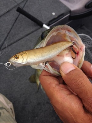 hideup 横山直人 ブログ写真 2015/06/12