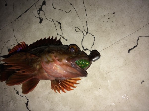 hideup 横山直人 ブログ写真 2015/01/07