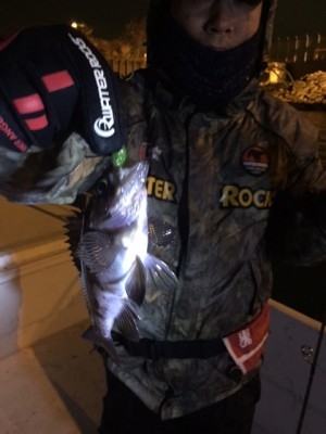 hideup 横山直人 ブログ写真 2015/02/05