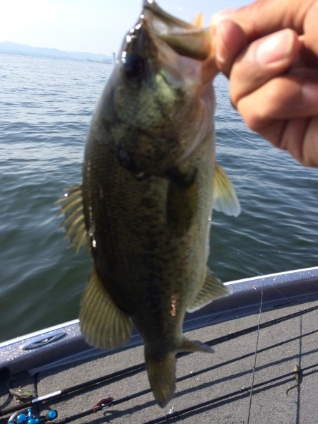 hideup 讓ｪ螻ｱ逶ｴ莠ｺ 繝悶Ο繧ｰ蜀咏悄 2014/05/04