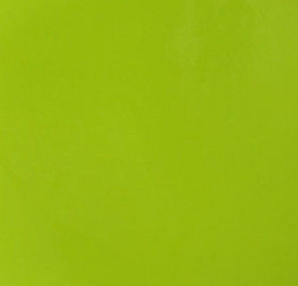 hideup 横山直人 ブログ写真 2015/11/13