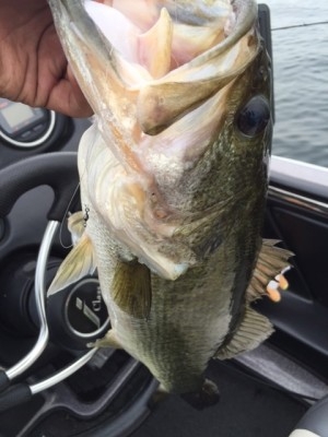 hideup 讓ｪ螻ｱ逶ｴ莠ｺ 繝悶Ο繧ｰ蜀咏悄 2015/06/14