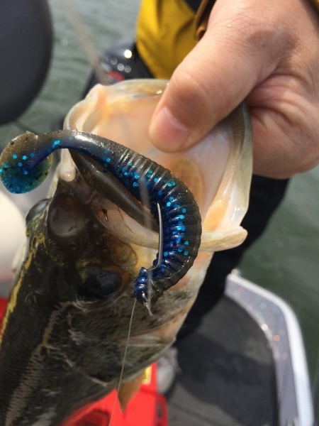 hideup 讓ｪ螻ｱ逶ｴ莠ｺ 繝悶Ο繧ｰ蜀咏悄 2014/04/19