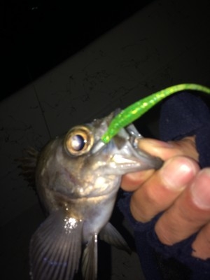 hideup 横山直人 ブログ写真 2014/12/02