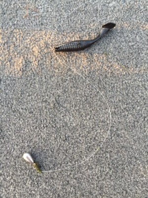 hideup 讓ｪ螻ｱ逶ｴ莠ｺ 繝悶Ο繧ｰ蜀咏悄 2015/08/16