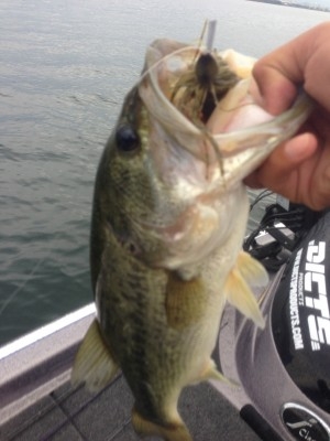 hideup 讓ェ螻ア逶エ莠コ 繝悶Ο繧ー蜀咏悄 2014/02/11