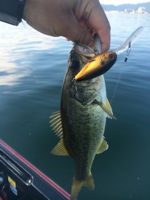 hideup 横山直人 ブログ写真 2015/10/18