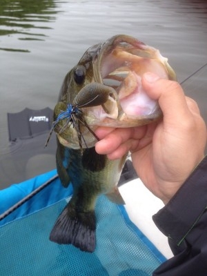 hideup 讓ｪ螻ｱ逶ｴ莠ｺ 繝悶Ο繧ｰ蜀咏悄 2014/06/11