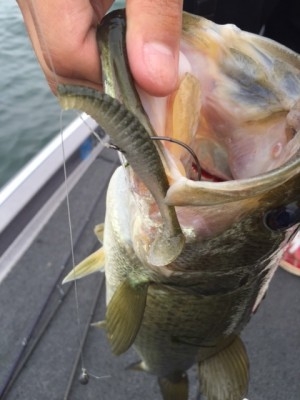 hideup 横山直人 ブログ写真 2015/07/04