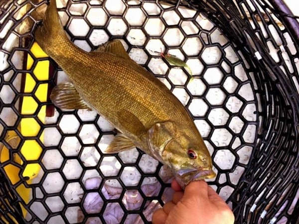 hideup 讓ｪ螻ｱ逶ｴ莠ｺ 繝悶Ο繧ｰ蜀咏悄 2015/06/15