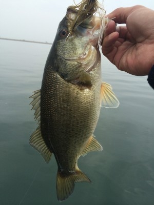 hideup 横山直人 ブログ写真 2014/03/02