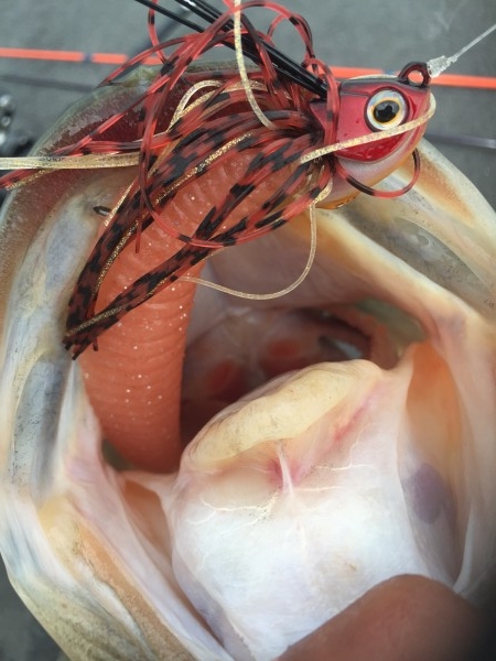 hideup 讓ｪ螻ｱ逶ｴ莠ｺ 繝悶Ο繧ｰ蜀咏悄 2016/04/02