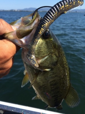 hideup 讓ｪ螻ｱ逶ｴ莠ｺ 繝悶Ο繧ｰ蜀咏悄 2014/10/17