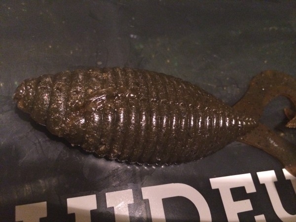 hideup 横山直人 ブログ写真 2014/02/22