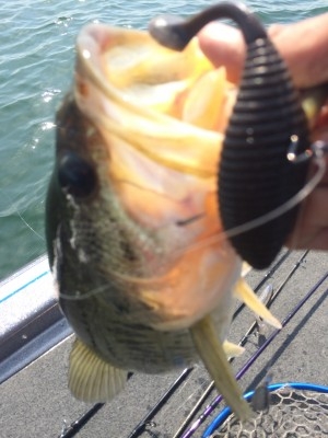 hideup 讓ｪ螻ｱ逶ｴ莠ｺ 繝悶Ο繧ｰ蜀咏悄 2015/04/10