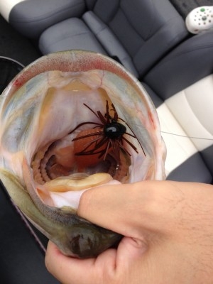 hideup 横山直人 ブログ写真 2015/05/13