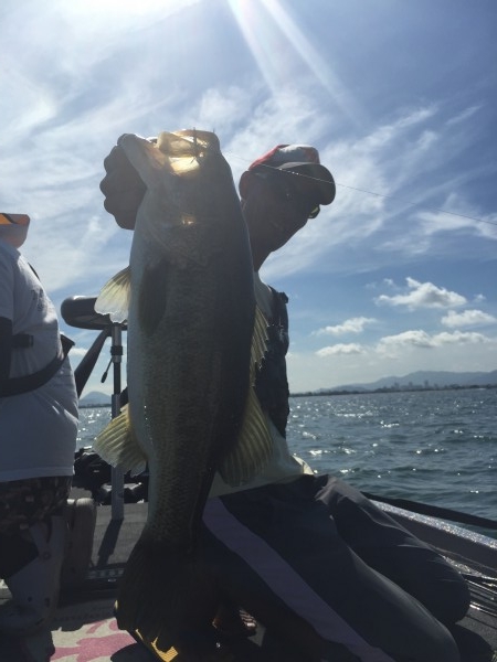 hideup 讓ｪ螻ｱ逶ｴ莠ｺ 繝悶Ο繧ｰ蜀咏悄 2015/08/08