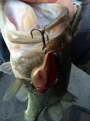 hideup 横山直人 ブログ写真 2014/03/02