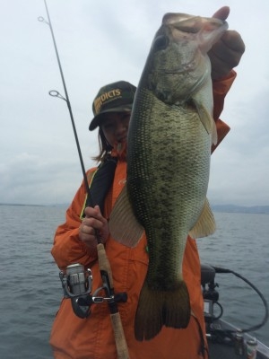 hideup 讓ｪ螻ｱ逶ｴ莠ｺ 繝悶Ο繧ｰ蜀咏悄 2014/06/24