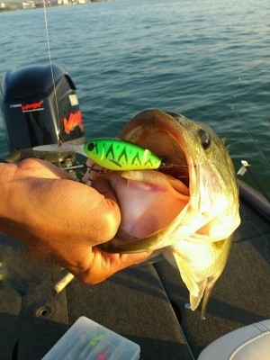 hideup 讓ｪ螻ｱ逶ｴ莠ｺ 繝悶Ο繧ｰ蜀咏悄 2014/10/09