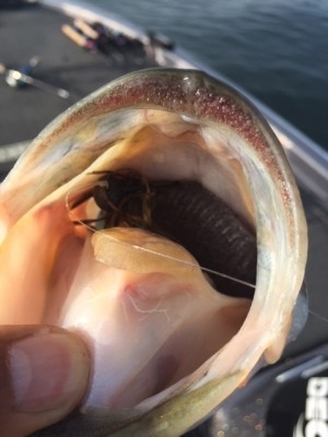 hideup 横山直人 ブログ写真 2015/07/12