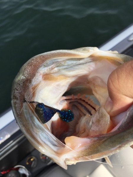 hideup 讓ｪ螻ｱ逶ｴ莠ｺ 繝悶Ο繧ｰ蜀咏悄 2015/05/07