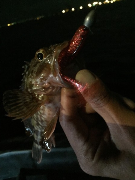 hideup 讓ｪ螻ｱ逶ｴ莠ｺ 繝悶Ο繧ｰ蜀咏悄 2015/09/01