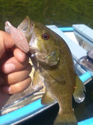 hideup 讓ｪ螻ｱ逶ｴ莠ｺ 繝悶Ο繧ｰ蜀咏悄 2014/06/17