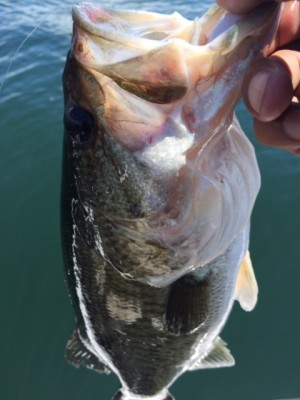 hideup 横山直人 ブログ写真 2015/06/07