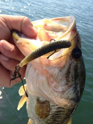 hideup 横山直人 ブログ写真 2014/07/10