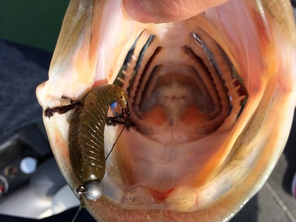 hideup 讓ｪ螻ｱ逶ｴ莠ｺ 繝悶Ο繧ｰ蜀咏悄 2014/04/13