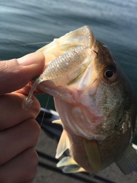 hideup 讓ｪ螻ｱ逶ｴ莠ｺ 繝悶Ο繧ｰ蜀咏悄 2015/12/13