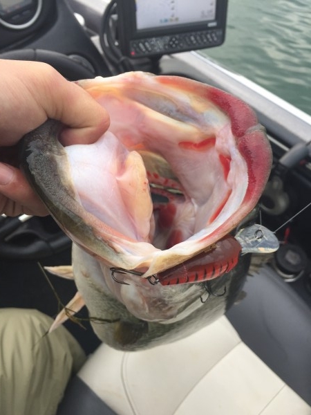 hideup 讓ｪ螻ｱ逶ｴ莠ｺ 繝悶Ο繧ｰ蜀咏悄 2016/03/03