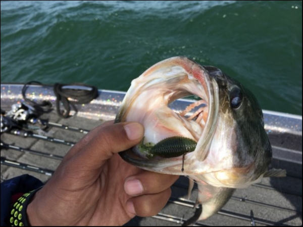 hideup 横山直人 ブログ写真 2018/04/02