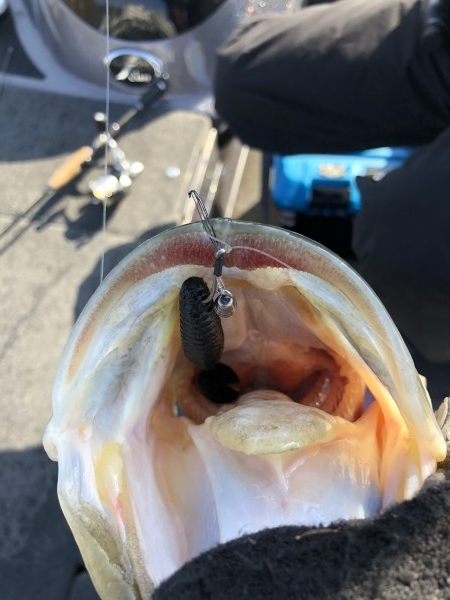 hideup 横山直人 ブログ写真 2018/04/10