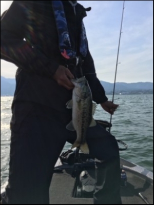 hideup 横山直人 ブログ写真 2018/05/06