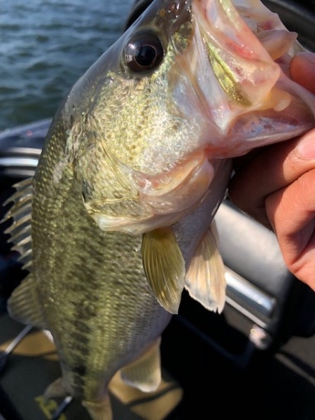 hideup 横山直人 ブログ写真 2018/05/06