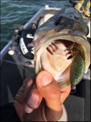 hideup 横山直人 ブログ写真 2018/05/06