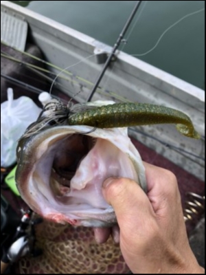 hideup 横山直人 ブログ写真 2018/06/04