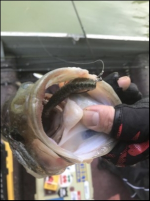 hideup 横山直人 ブログ写真 2018/06/04