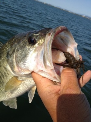 hideup 吉田秀雄 ブログ写真 2013/05/08