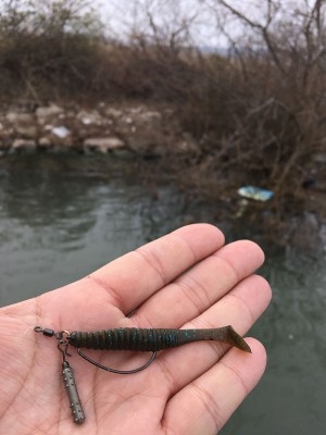 hideup 吉田秀雄 ブログ写真 2017/03/05