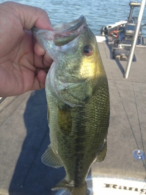 hideup 吉田秀雄 ブログ写真 2013/10/02