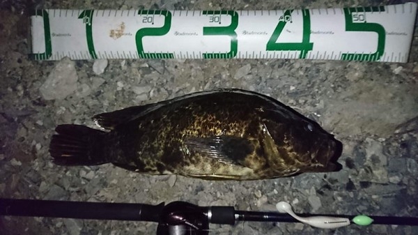 hideup 吉田秀雄 ブログ写真 2017/03/21