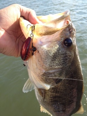 hideup 吉田秀雄 ブログ写真 2013/05/03