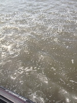 hideup 吉田秀雄 ブログ写真 2013/06/05