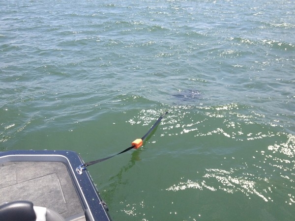 hideup 吉田秀雄 ブログ写真 2013/07/08