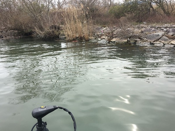 hideup 吉田秀雄 ブログ写真 2017/03/05